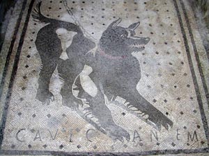 Pompei - Dog Welcome Mat.